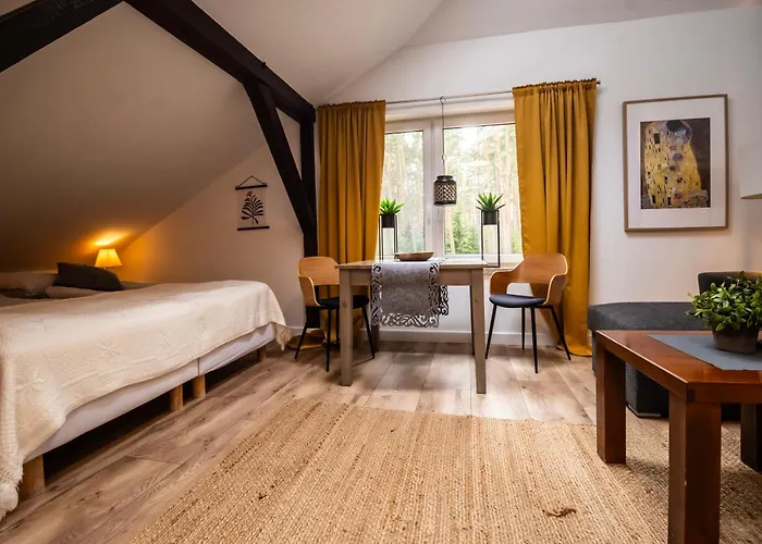 Bed & Breakfast Drzewicz 3*