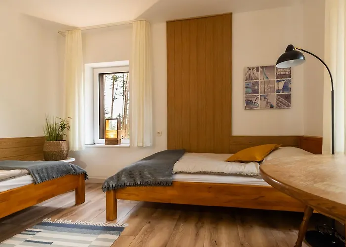 Drzewicz 3* סבורנגאצ'יה